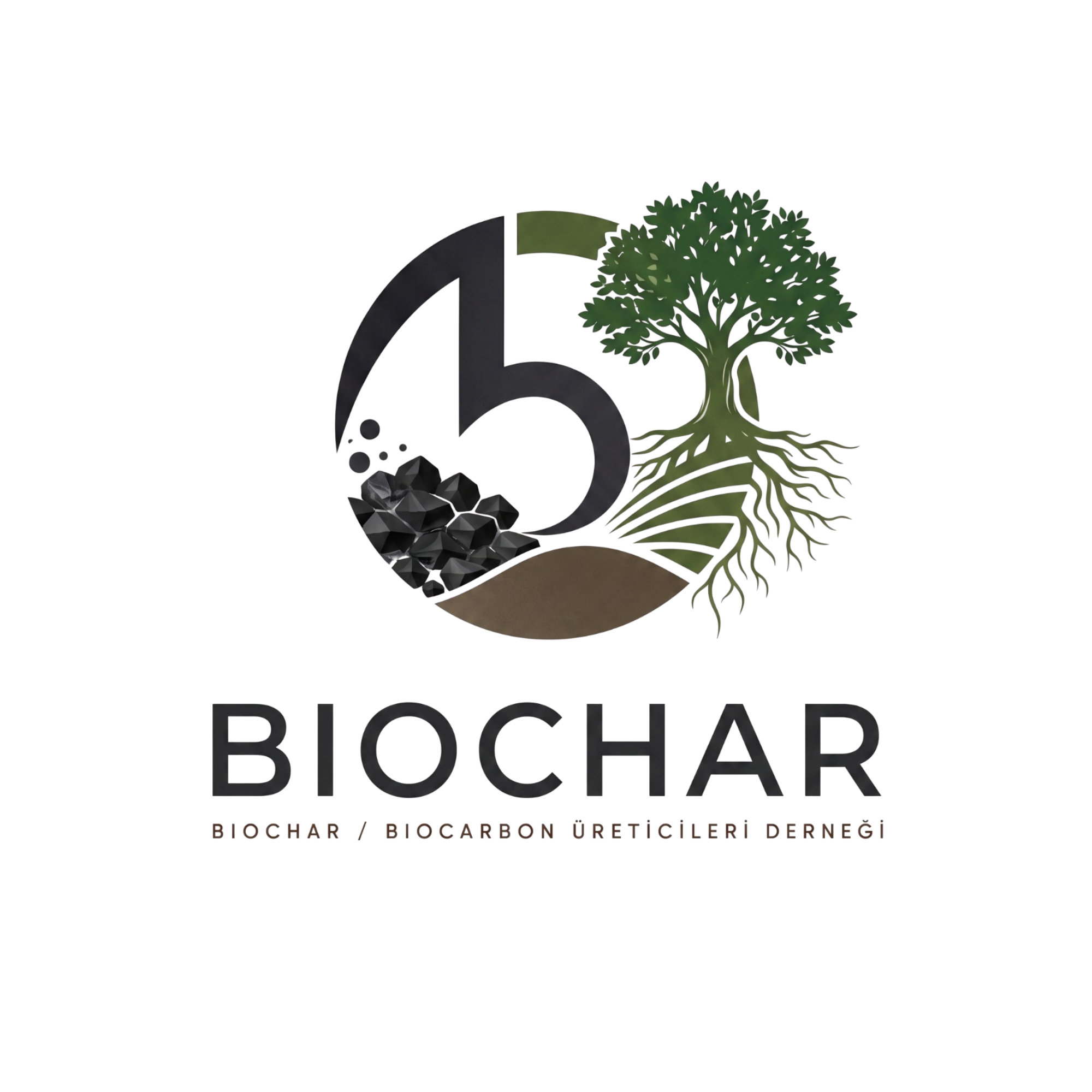 Biochar Biyokarbon Üreticileri Derneği