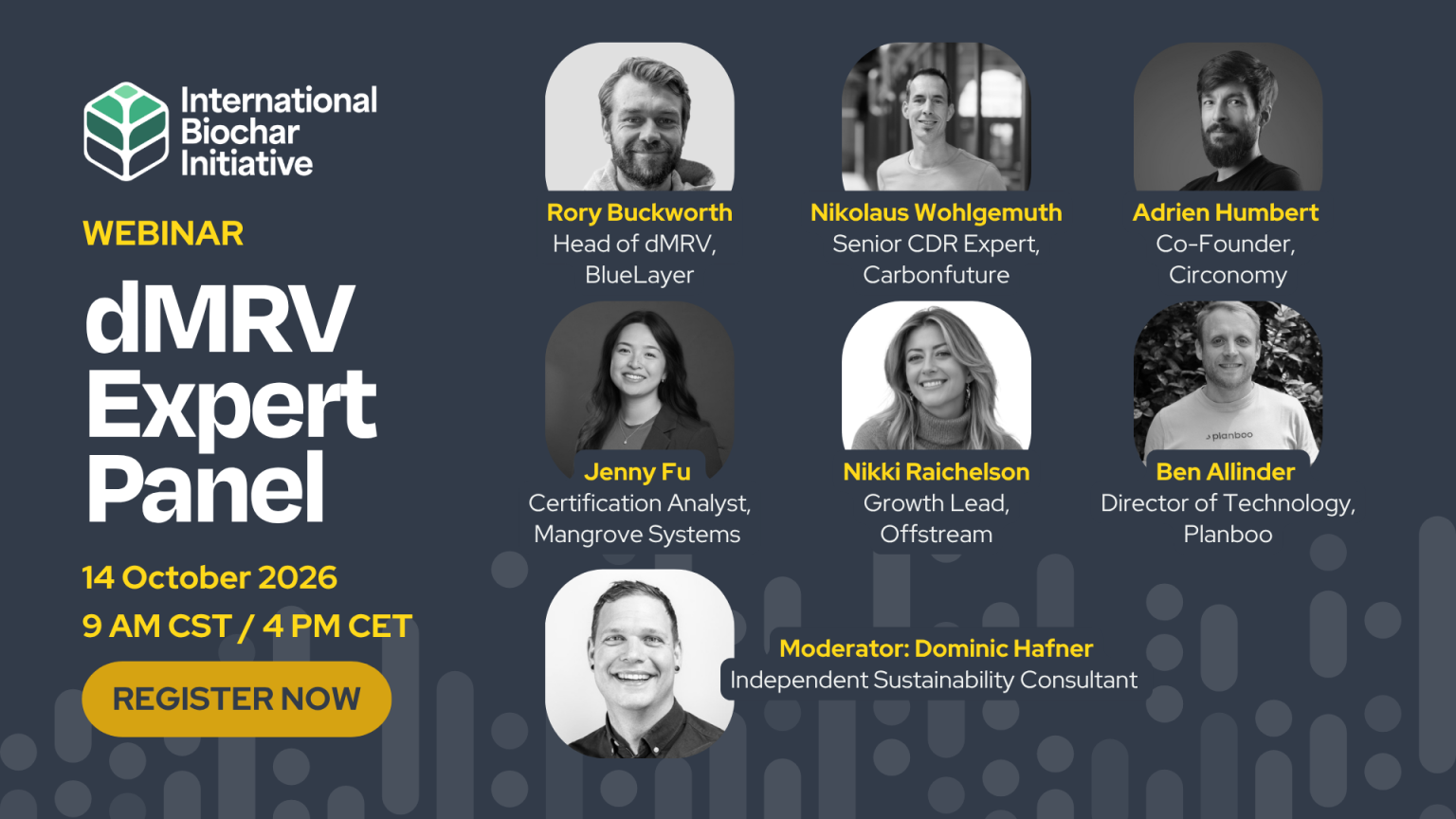 dMRV Expert Panel